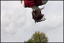 IMG_5160.jpg