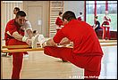 0015_SCM-2013_Foto_Stefan_Deutsch.jpg